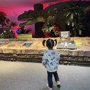 종로-연건-종로-연-215 | 서울 실내 아이랑 가볼만한곳 국립어린이과학관 입장료 주차 공룡 로봇쇼