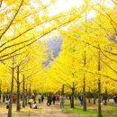 은행1리 이미지