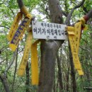 재라농장 Daum카페