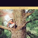 우드 너 이미지