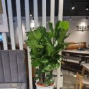 구성꽃백화점 이미지