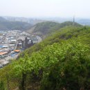 한일초등학교 이미지