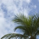 대방동주민센터 이미지