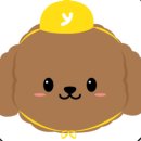 댕댕댕 애견유치원 이미지