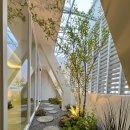 역삼한의원 이미지