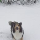 아이즈 오브 엔젤 이미지