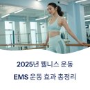 2025년 최신 EMS 운동 효과 총정리