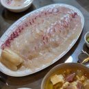 미도리제주 | 쌍둥이들과 첫 외박! 내돈내산 제주 유아 동반 숙소 추천 '미도리스테이'