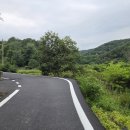 진주 정설 부부 묘 티스토리
