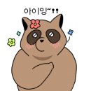 갈매기 대도