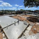 일로로이 이미지