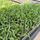 사곡농장 이미지