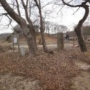 여주-0055 이미지