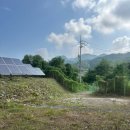 넝쿨 태양광발전소 이미지