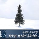 홋카이도 버스투어 유투어버스 후기 -비에이, 흰수염폭포, 청의 호수 등-