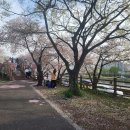 꽃보라동산 이미지