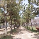 연산면 덕바위농촌체험휴양마을 이미지