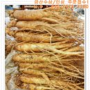 금산 활력의집 이미지