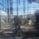 아라마루아쿠아카페 이미지