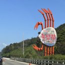 영해상사 | [경북영덕]대게 먹으러 떠나는 애견동반 2박3일 가족여행