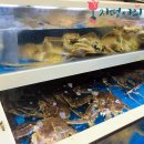 대게좋은집 붉은대게 무한리필 이미지