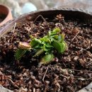 부영농원 이미지