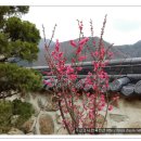 대대1리 마을회관 이미지