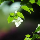 연세라메오르정형외과의원 이미지