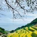 가천다랭이마을 | 🌾 남해여행코스 추천 | 남해 가천 다랭이마을 풍경, 꼭 가봐야 할 포토존 명소