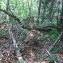 유장농장 이미지