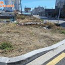 주문진읍사무소 1 이미지