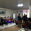 신산4리 Daum카페