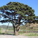 휴천면사무소 이미지