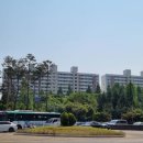 가로수주유소 이미지