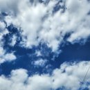 다인야영장 | [울산 중구] 입화산 제2 캠핑장 오토 A 소형 꼭 읽고가시길 바라는 솔직 후기 :) with 폴라리스