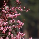 힐링&헬스 이미지