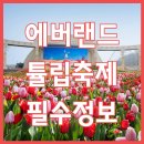 2025 에버랜드 튤립 축제 완벽 가이드 : 할인 및 필수 정보 이미지