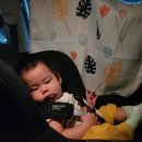 광명문화의집 | 롯데문화센터 광명점 재미플러스 오감톡 8개월 아기 후기 가격 주차