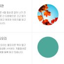 홍익물산 | 서울특별시 마포구(麻浦區) 이름에 대한 유래와 역사: 포구의 활기와 현대의 감성이 공존하는 곳