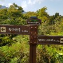 구이저수지둘레길 이미지