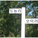 진벌 이미지