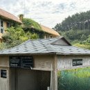 청산카 | [태안 여행] 천리포수목원 vs 청산수목원 내돈내산 솔직 비교! (입장료·포토존·알파카·카페 추천)