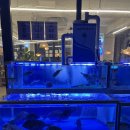 물고기횟집 이미지