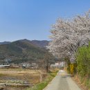 김대식농장 이미지