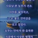 이승과저승.위장의 노화.물처럼 살라. 꽃을든 남자 이미지