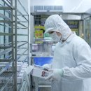 닭잡는강정 이미지