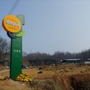 별이농장 | 2022 함께서울 친환경농장(서울시 주말농장) 참여자 모집