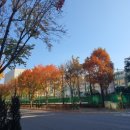 대전탄방중학교 이미지