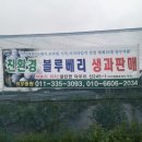 태경농장2 Daum카페