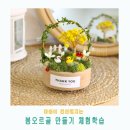 송정초교병설유치원 | 부산 원예수업 봄오르골 만들기 수업후기^^